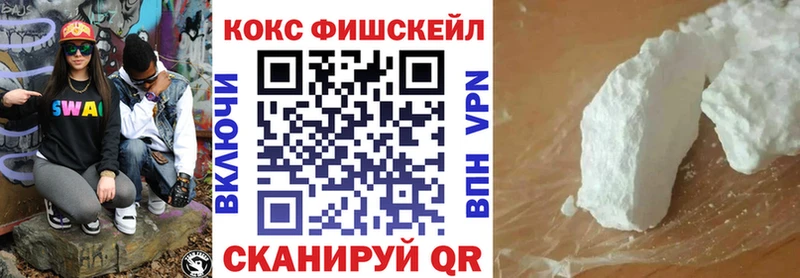 продажа наркотиков  Усть-Илимск  COCAIN FishScale 