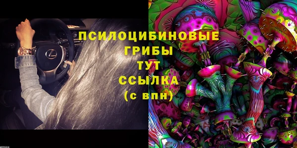 spice Баксан