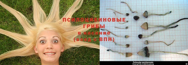 синтетический гашиш Балахна
