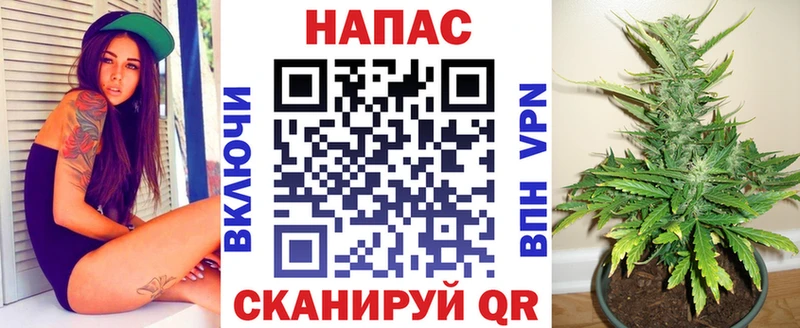 Каннабис сатива  купить наркотики цена  Усть-Илимск 